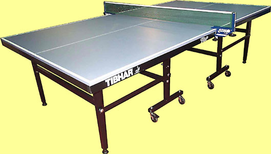 Table Tennis Table